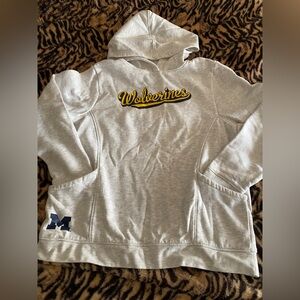 Russell Athletic Michigan Wolverines Light Gray Hoodie